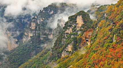 九路寨生态旅游区第 60 张图片