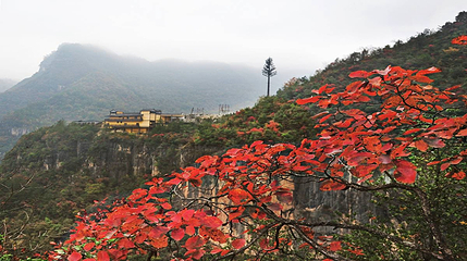 九路寨生态旅游区第 125 张图片