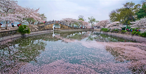 无锡市太湖鼋头渚风景区第 203 张图片