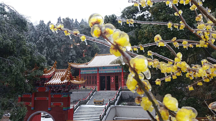 梅岭太阳谷第 41 张图片