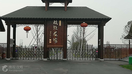 安徽玖玖花海观光园第 8 张图片