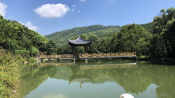 莆田市绿源名贵植物开发有限公司