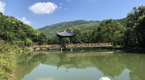 莆田市绿源名贵植物开发有限公司