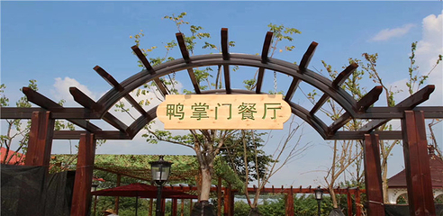 南山草原·森野集第 41 张图片