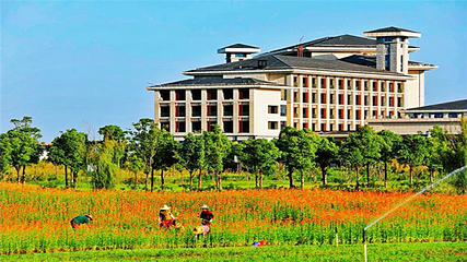 洪湖湿地生态旅游区第 18 张图片