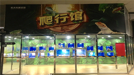 蛇文化展览馆第 1 张图片