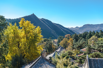 潭柘寺第 4 张图片