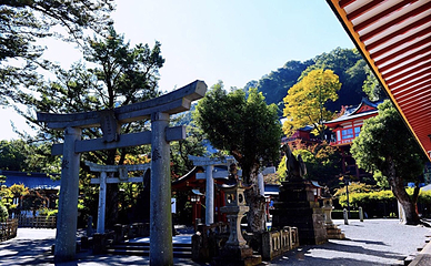 祐德稻荷神社第 2 张图片