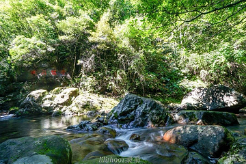千佛山景区第 98 张图片