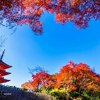 清水寺