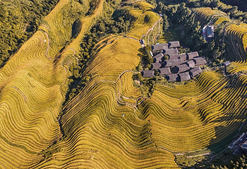 龙脊梯田风景名胜区-金坑梯田第 14 张图片