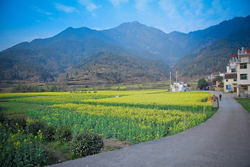 江岭景区第 75 张图片