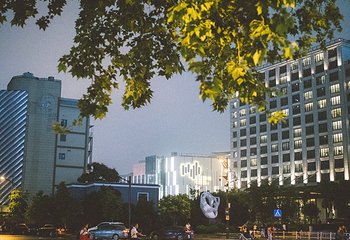 南山路第 10 张图片