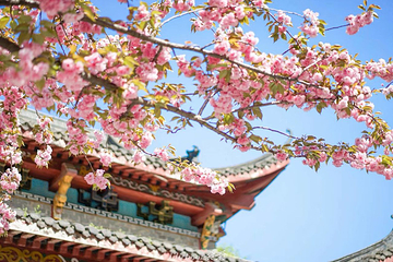 琅琊寺第 12 张图片