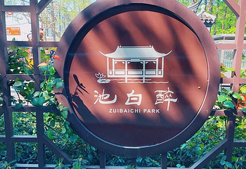 醉白池第 28 张图片