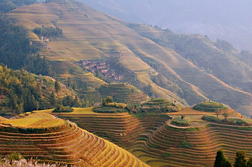 龙脊梯田风景名胜区-金坑梯田第 17 张图片