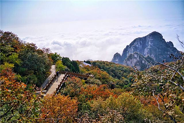 狼牙山第 18 张图片