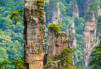 天子山风景区第 32 张图片