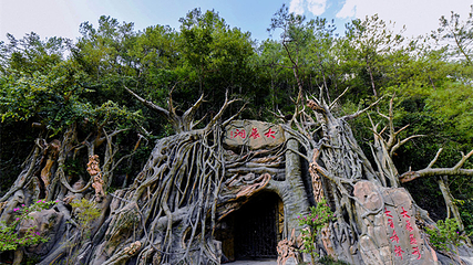 巴山大峡谷第 84 张图片