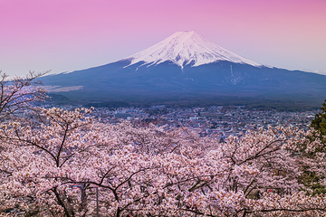 富士山第 30 张图片