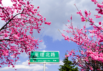 大理大学第 2 张图片