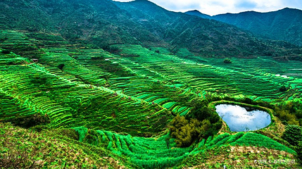 大鄣山乡第 1 张图片