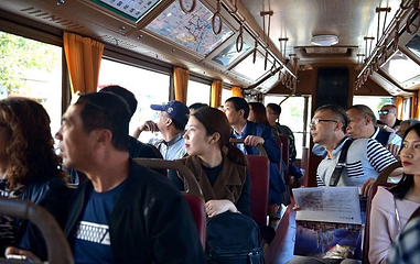 津游一号仿古铛铛车第 9 张图片