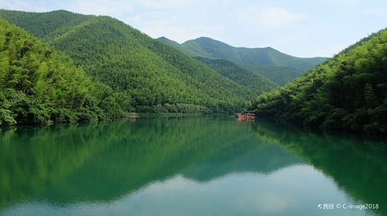 绥江竹海生态旅游景区第 1 张图片