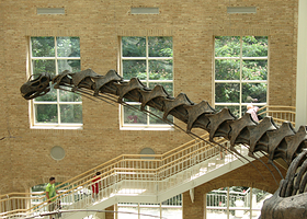 弗恩班克自然历史博物馆