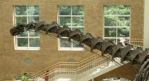 弗恩班克自然历史博物馆