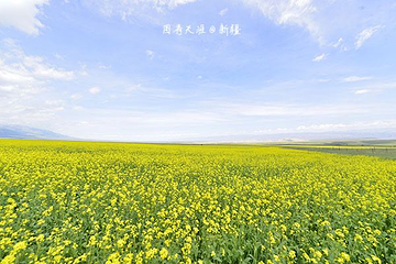 白石头风景区第 1 张图片