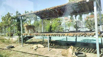 菏泽野生动物世界