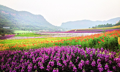 清溪谷旅游区-花田酒地景区第 4 张图片