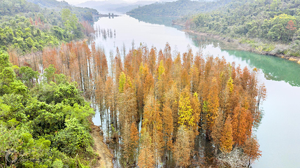 五桂山第 3 张图片