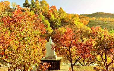 凤凰岭景区第 1 张图片