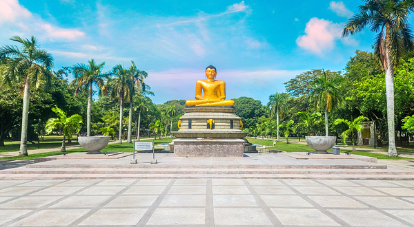 维哈马哈德维公园