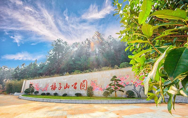 梅子山公园第 1 张图片