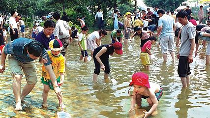海上田园第 19 张图片