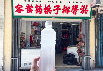 洪馨椰子第 8 张图片