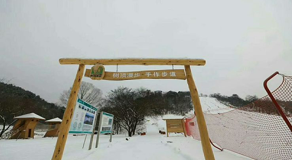 树顶漫步-滑雪基地