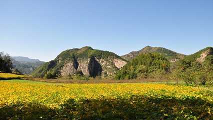 九龙山景区第 18 张图片