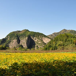 九龙山景区