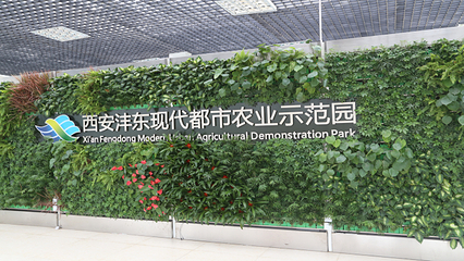 沣东农博园第 15 张图片