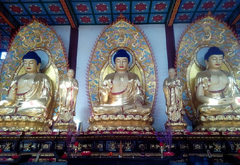 献县大乐寿寺第 1 张图片