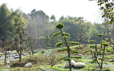都江堰·玫瑰花溪谷第 47 张图片