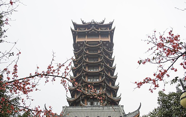 塔子山公园第 13 张图片