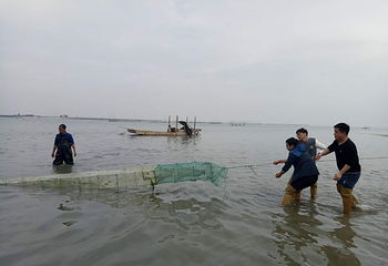 北海金海湾红树林生态旅游区第 58 张图片