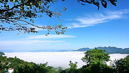 塔云山景区第 12 张图片