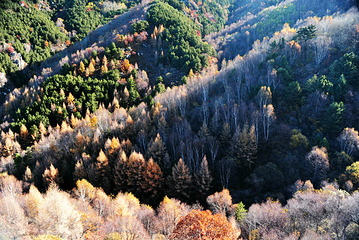 翠云山旅游度假区第 38 张图片