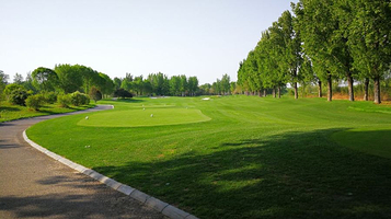 大师高尔夫森林假日俱乐部